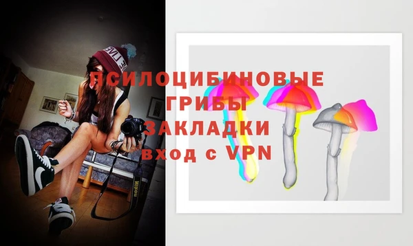 гашик Алексеевка