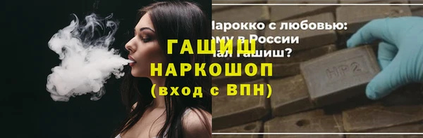 гашик Алексеевка