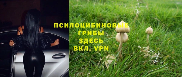 кокаин колумбия Алексин