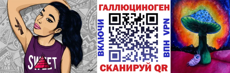 Галлюциногенные грибы Psilocybe  купить наркотики сайты  Оленегорск 
